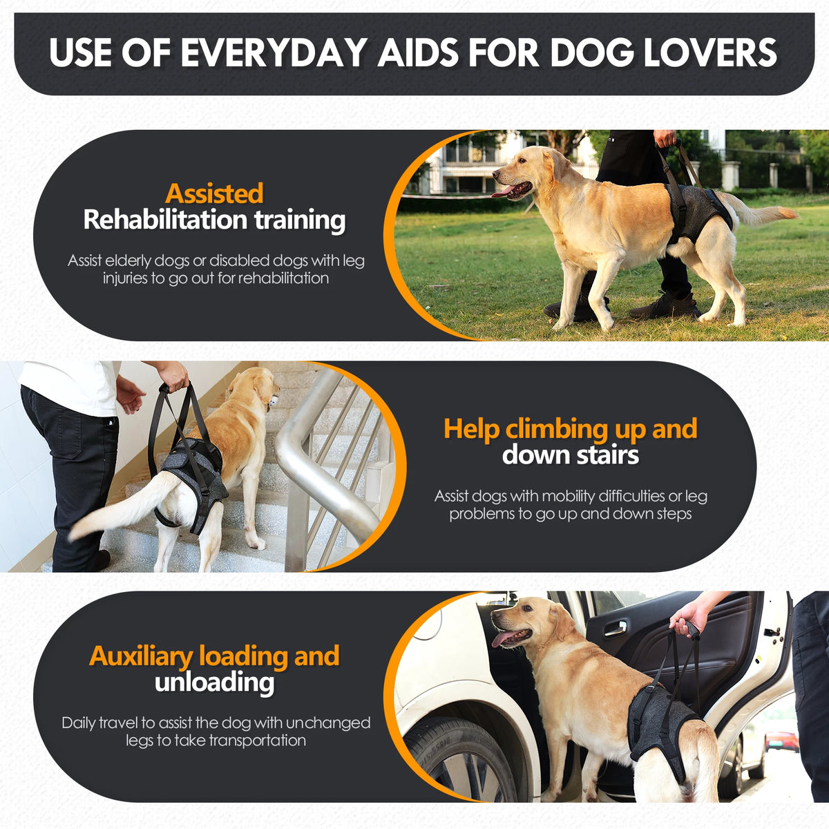Dog Hind Leg Support Harness, Adjustable Dog Lift Sling for Disabled & Senior Dogs with Mobility Issues
