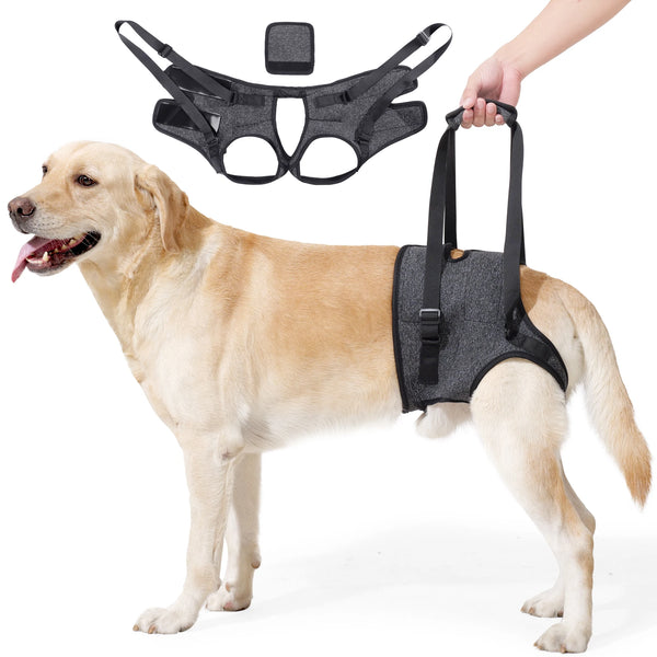 Dog Hind Leg Support Harness, Adjustable Dog Lift Sling for Disabled & Senior Dogs with Mobility Issues