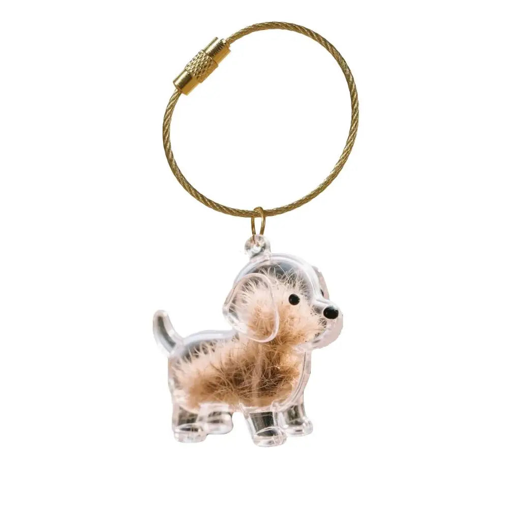 Dog Hair Storage Memorial Keepsake Pendant Backpack Keychain Pet Hair Fur Capsule Key Pendant Transparent Fur Collection Box