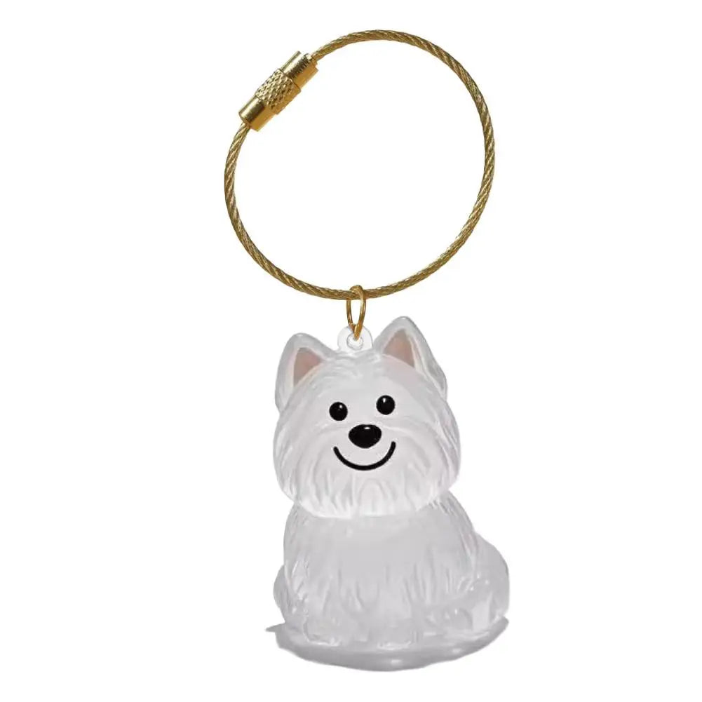 Dog Hair Storage Memorial Keepsake Pendant Backpack Keychain Pet Hair Fur Capsule Key Pendant Transparent Fur Collection Box