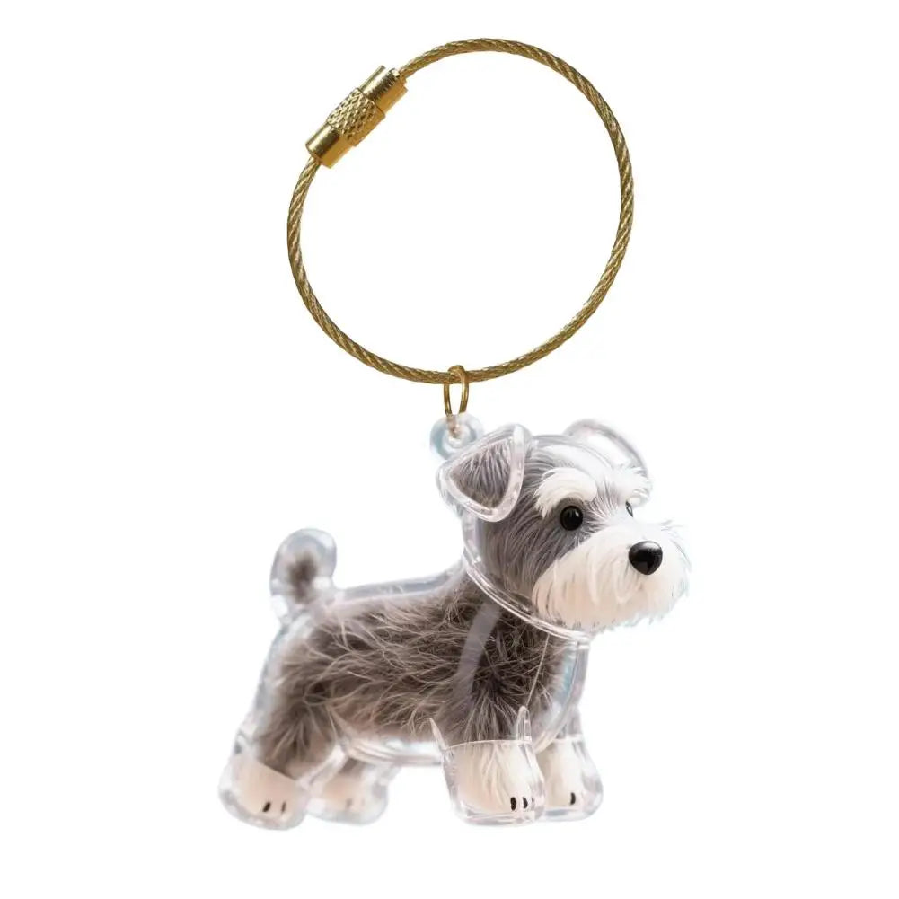 Dog Hair Storage Memorial Keepsake Pendant Backpack Keychain Pet Hair Fur Capsule Key Pendant Transparent Fur Collection Box