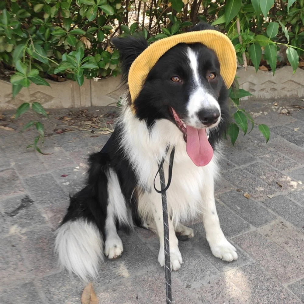 Fashionable Pet Dog Hat with Adjustable Sun Protection XS to XL Size for Small Medium Large Dogs Pet Outdoor Suppies Accessories