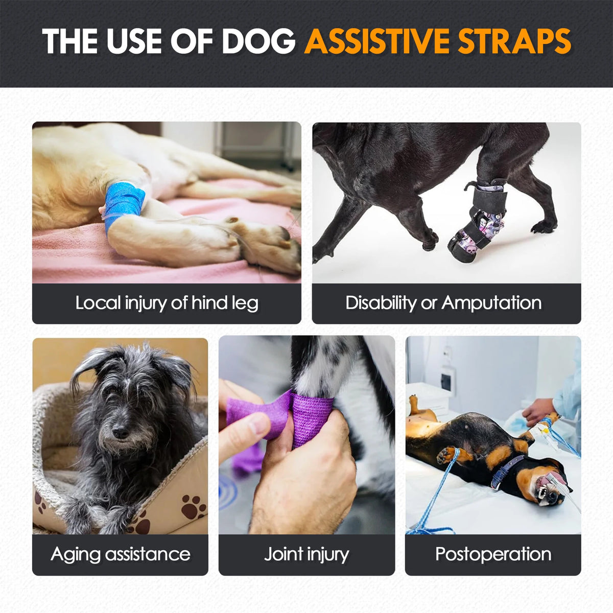 Dog Hind Leg Support Harness, Adjustable Dog Lift Sling for Disabled & Senior Dogs with Mobility Issues