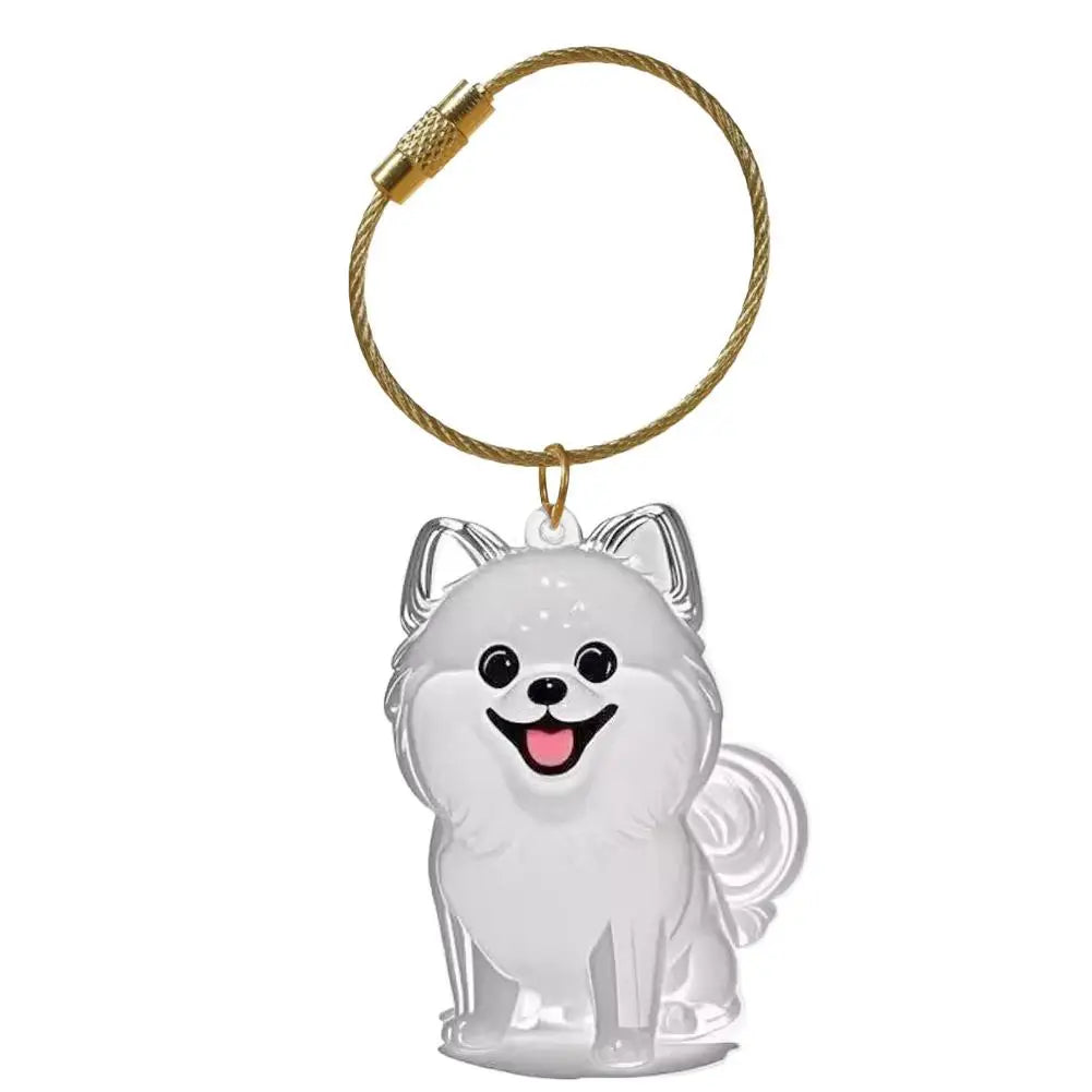 Dog Hair Storage Memorial Keepsake Pendant Backpack Keychain Pet Hair Fur Capsule Key Pendant Transparent Fur Collection Box