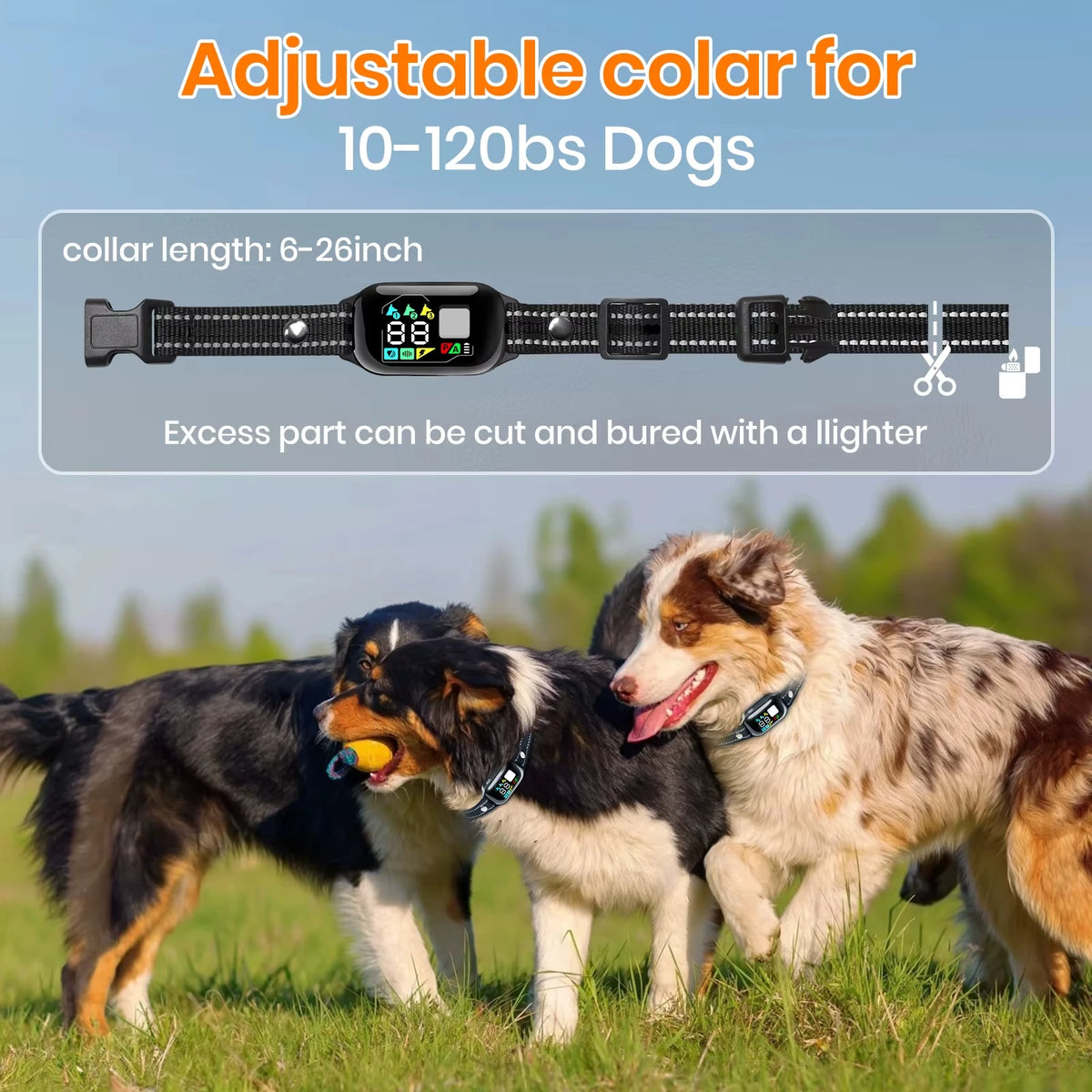 Smart AI Dog Training Collar with Remote – 3300ft Range & IPX7 Waterproof