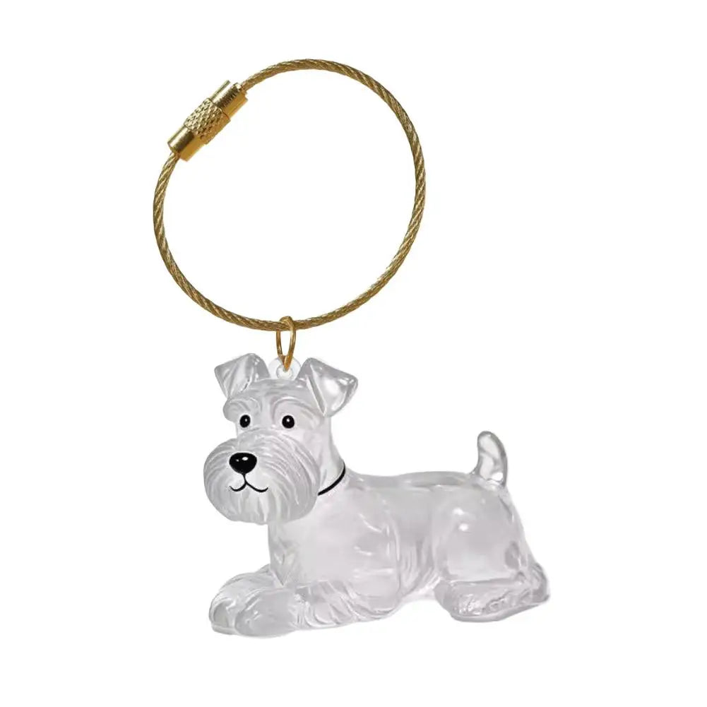 Dog Hair Storage Memorial Keepsake Pendant Backpack Keychain Pet Hair Fur Capsule Key Pendant Transparent Fur Collection Box