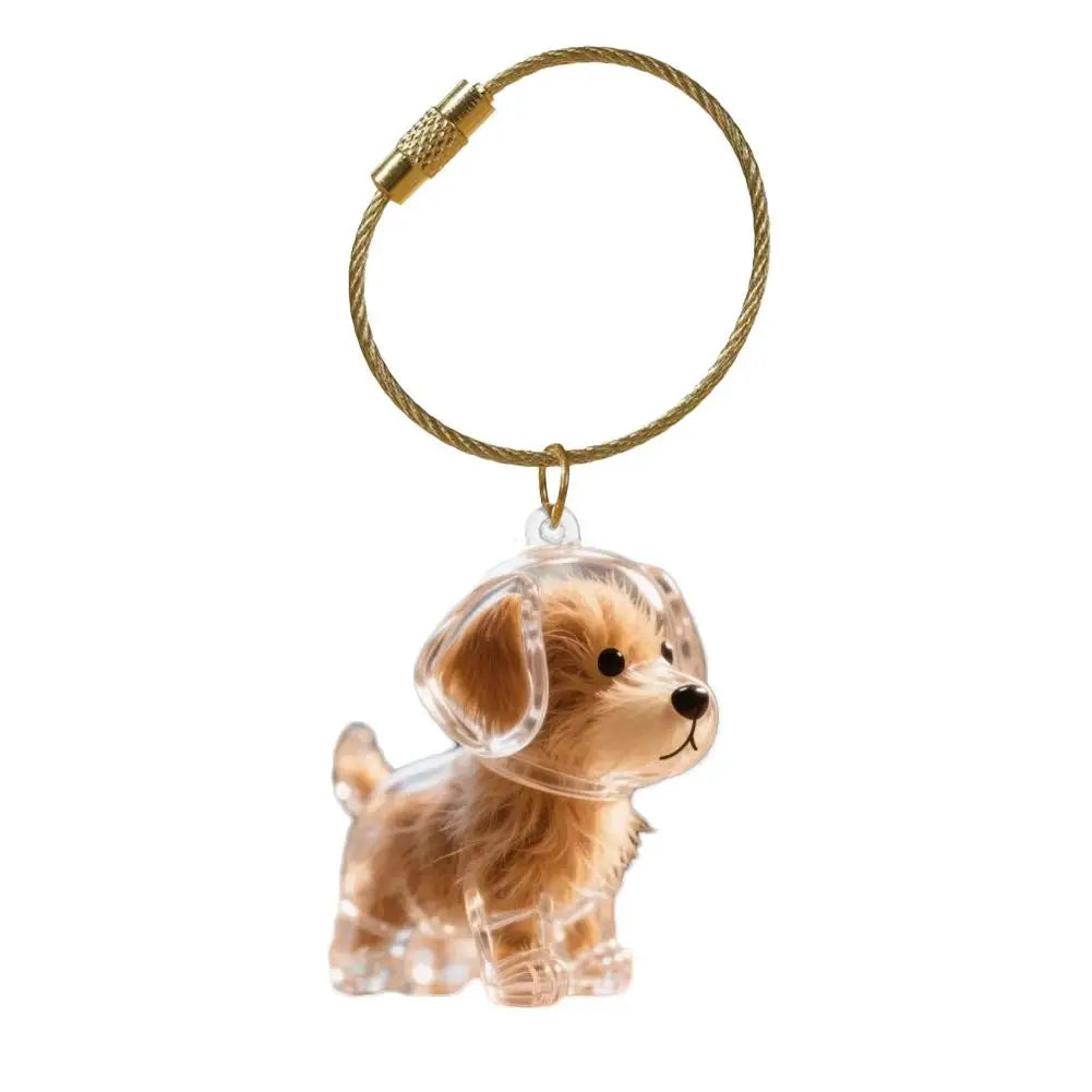 Dog Hair Storage Memorial Keepsake Pendant Backpack Keychain Pet Hair Fur Capsule Key Pendant Transparent Fur Collection Box